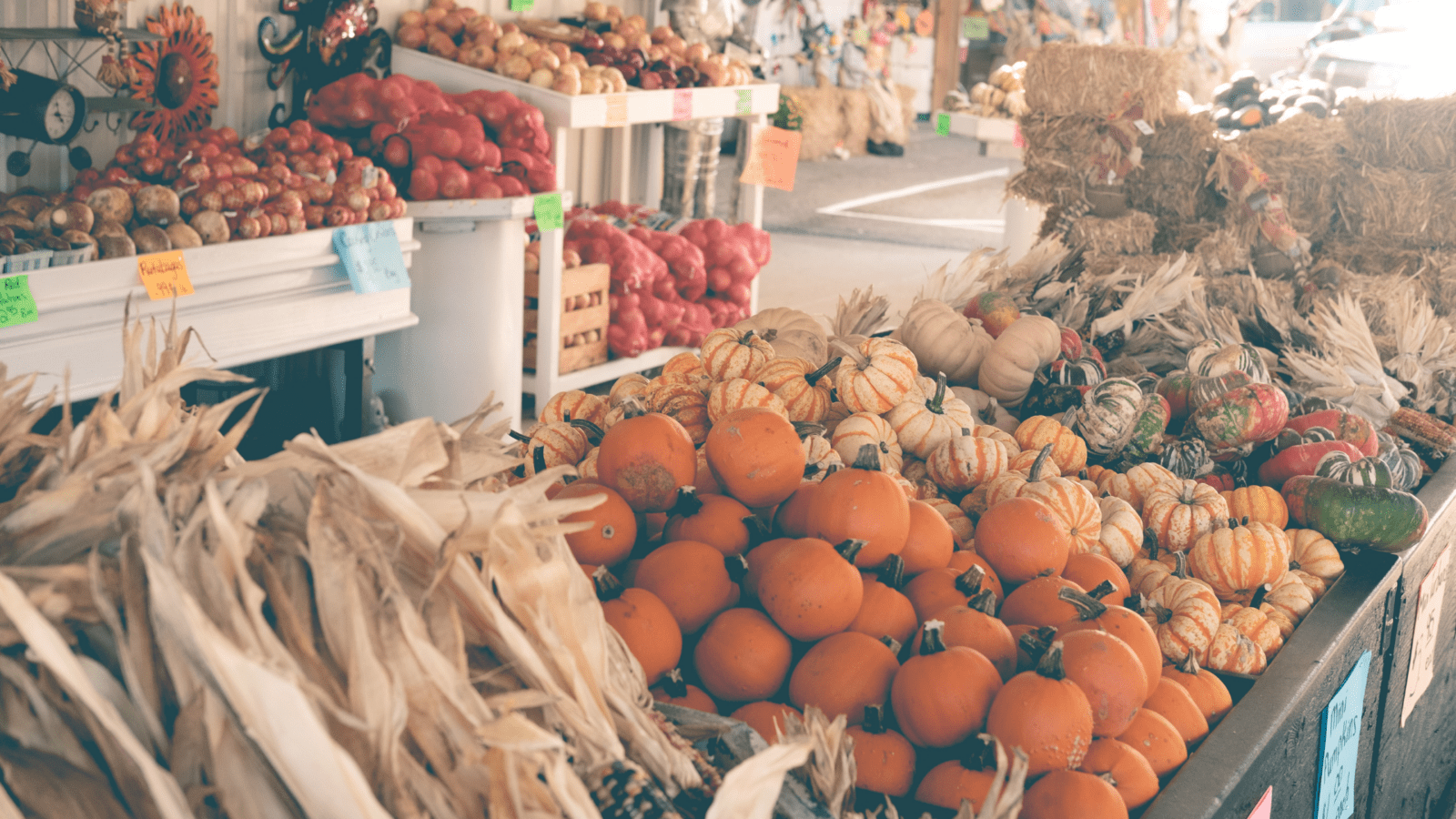 Fall Farmers Market